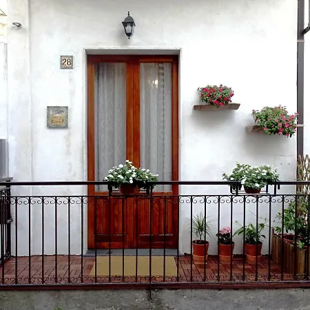Guest House Le ginestre dell'Etna Belpasso Extérieur photo